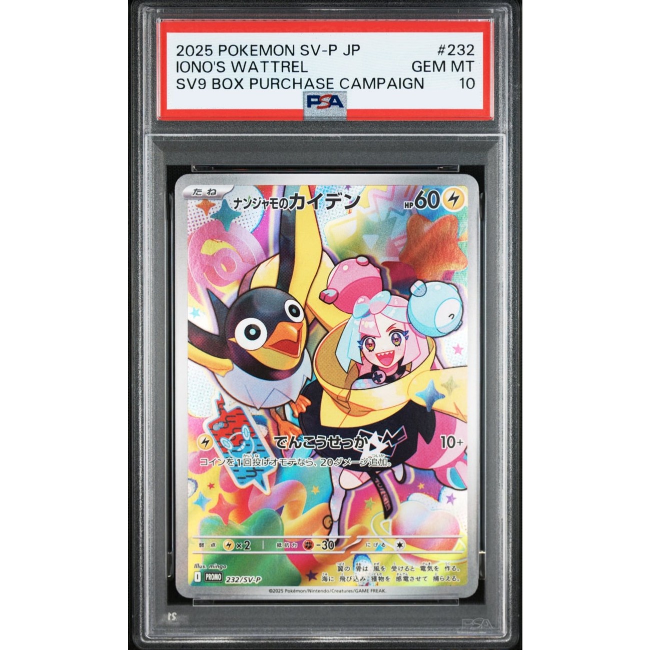 PTCG 全PSA10確定