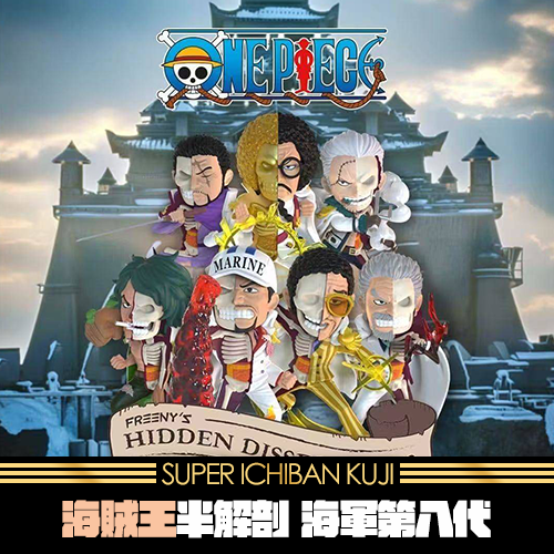 海賊王半解剖 海軍第八代