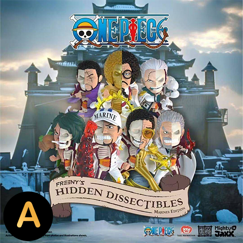 海賊王半解剖 海軍第八代